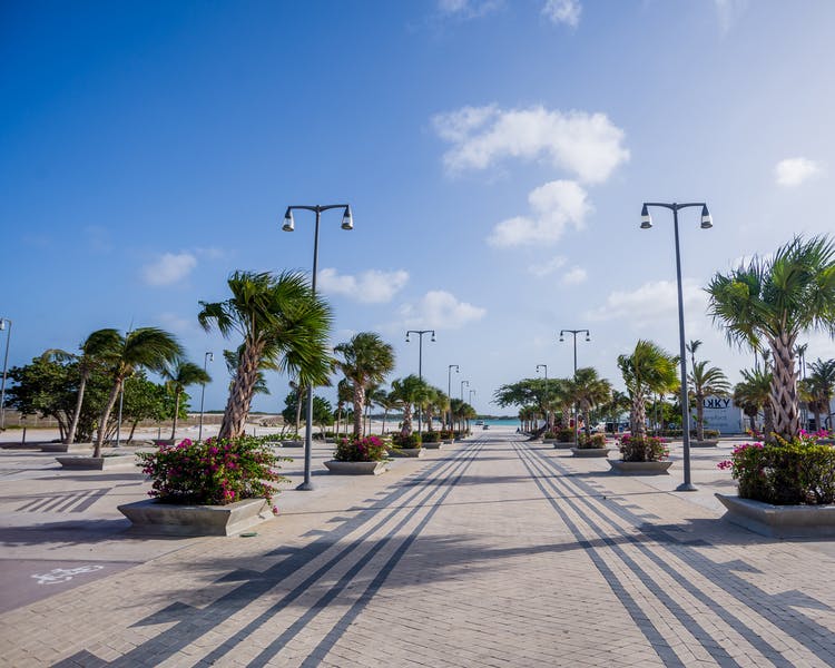 Oceanside plaza area.
